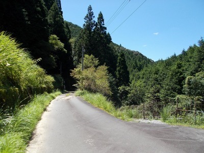 f0308898_10155090.jpg