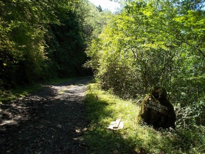 f0308898_10160420.jpg