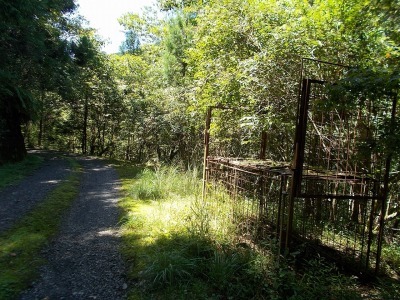 f0308898_10165716.jpg