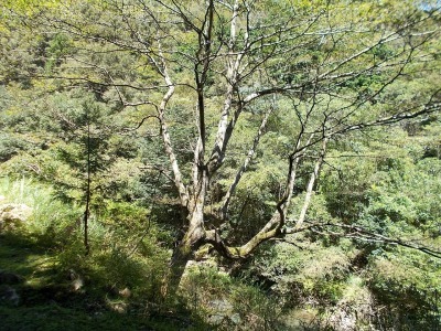 f0308898_10170820.jpg