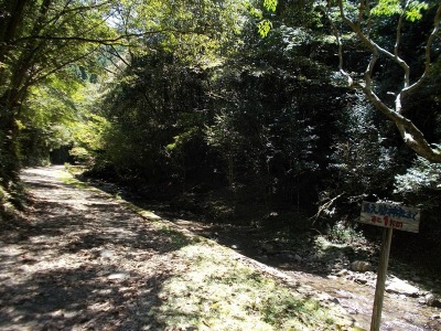 f0308898_10191538.jpg