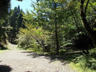 f0308898_10192784.jpg