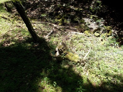 f0308898_10203581.jpg