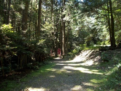 f0308898_10205623.jpg