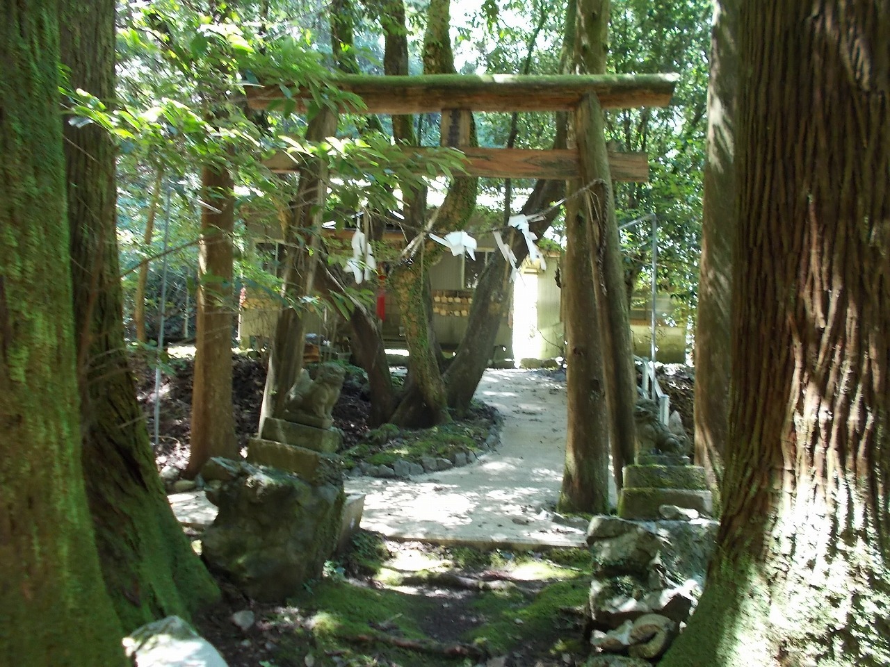 f0308898_10501115.jpg