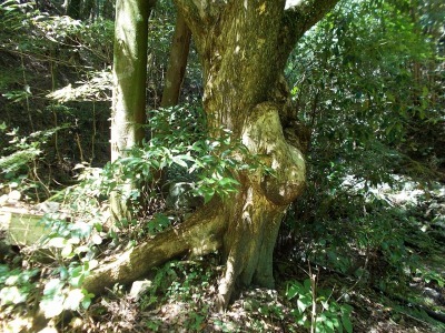 f0308898_10535447.jpg