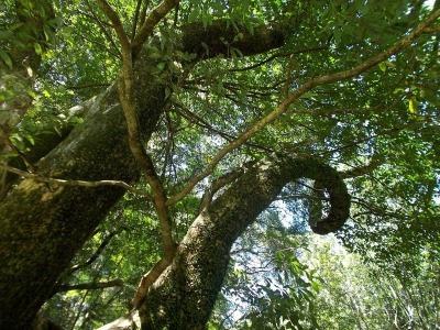 f0308898_10542360.jpg