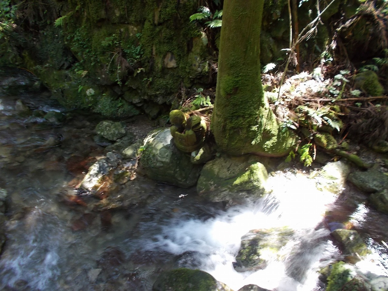 f0308898_10562591.jpg