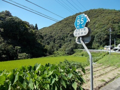 f0308898_11580621.jpg