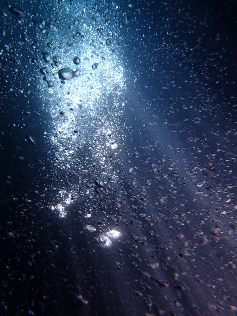 e0115199_20382253.jpg