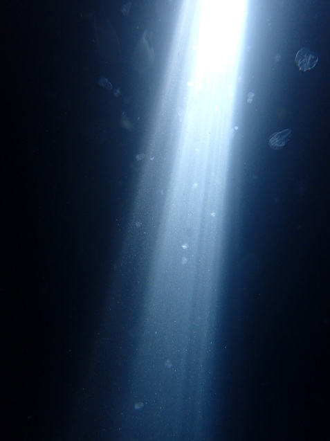 e0115199_20383834.jpg
