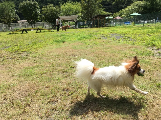 f0034602_09300611.jpeg