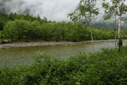 雨の上高地　10 ~ラスト_e0396705_17412069.jpg