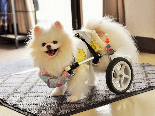自分の足で_d0360206_23573827.jpg