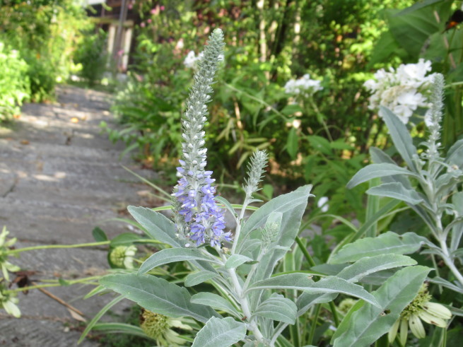 f0297809_00145551.jpg