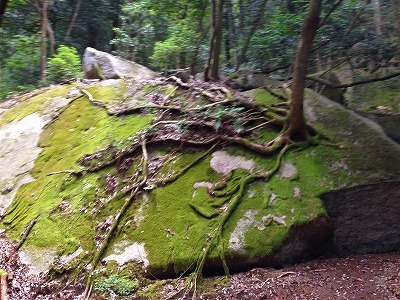 b0062010_20125402.jpg