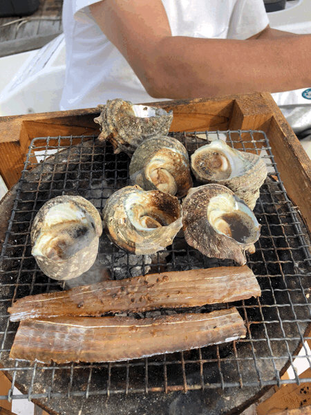 b0268815_21503423.gif