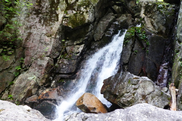 d0170615_09531975.jpg