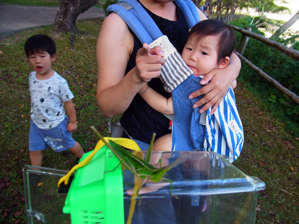 e0083517_00323496.jpg