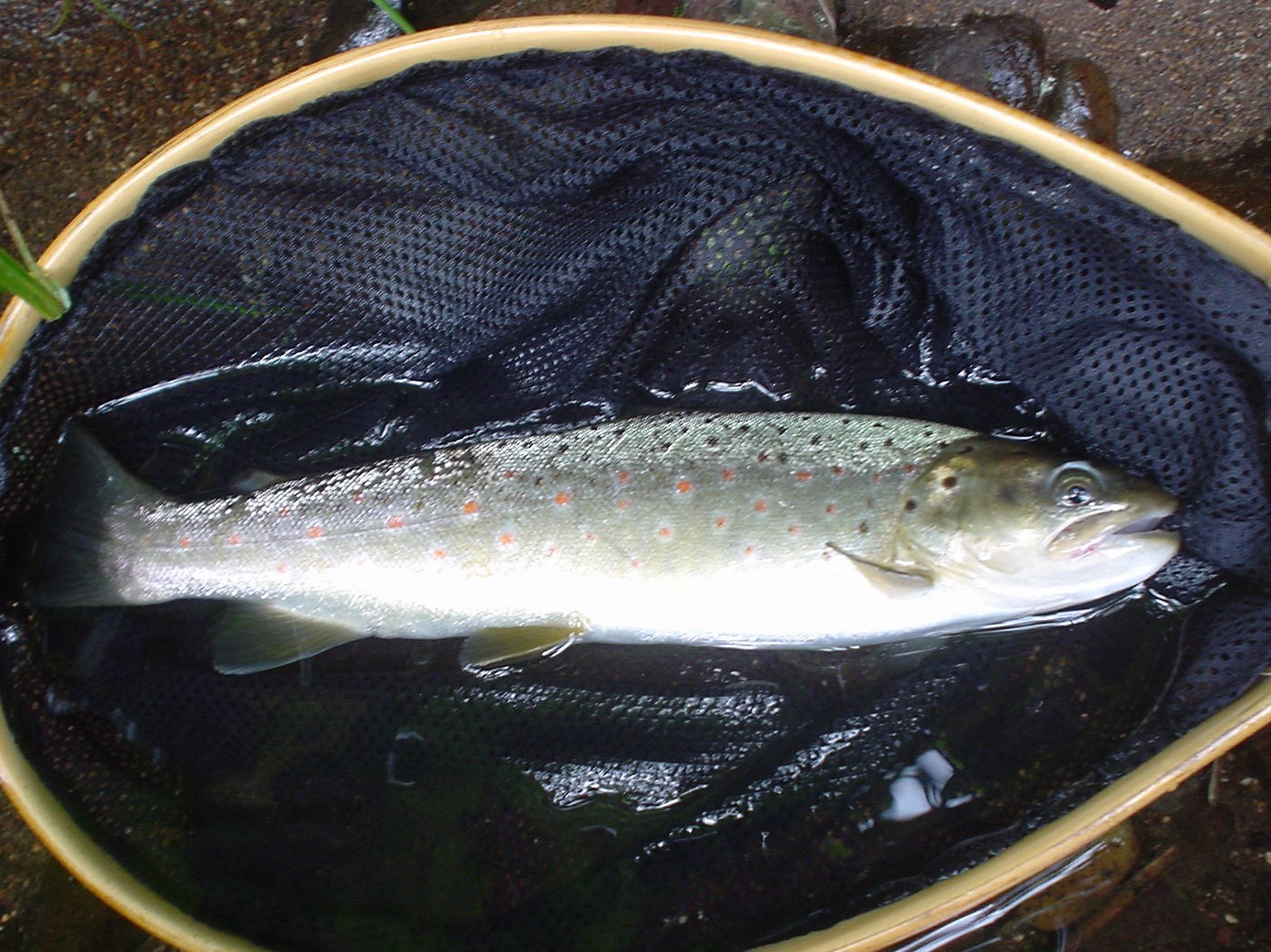 f0280717_15544149.jpg