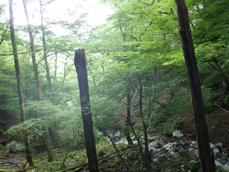 f0193521_44593.jpg