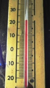 f0213825_08401972.jpg