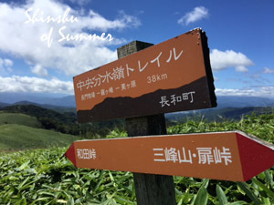 信州☆山旅2018_b0210228_11492150.jpg