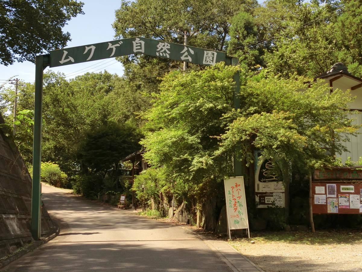 ムクゲ自然公園 黄色い電車に乗せて