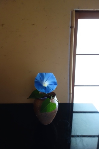 a0197730_00322059.jpg