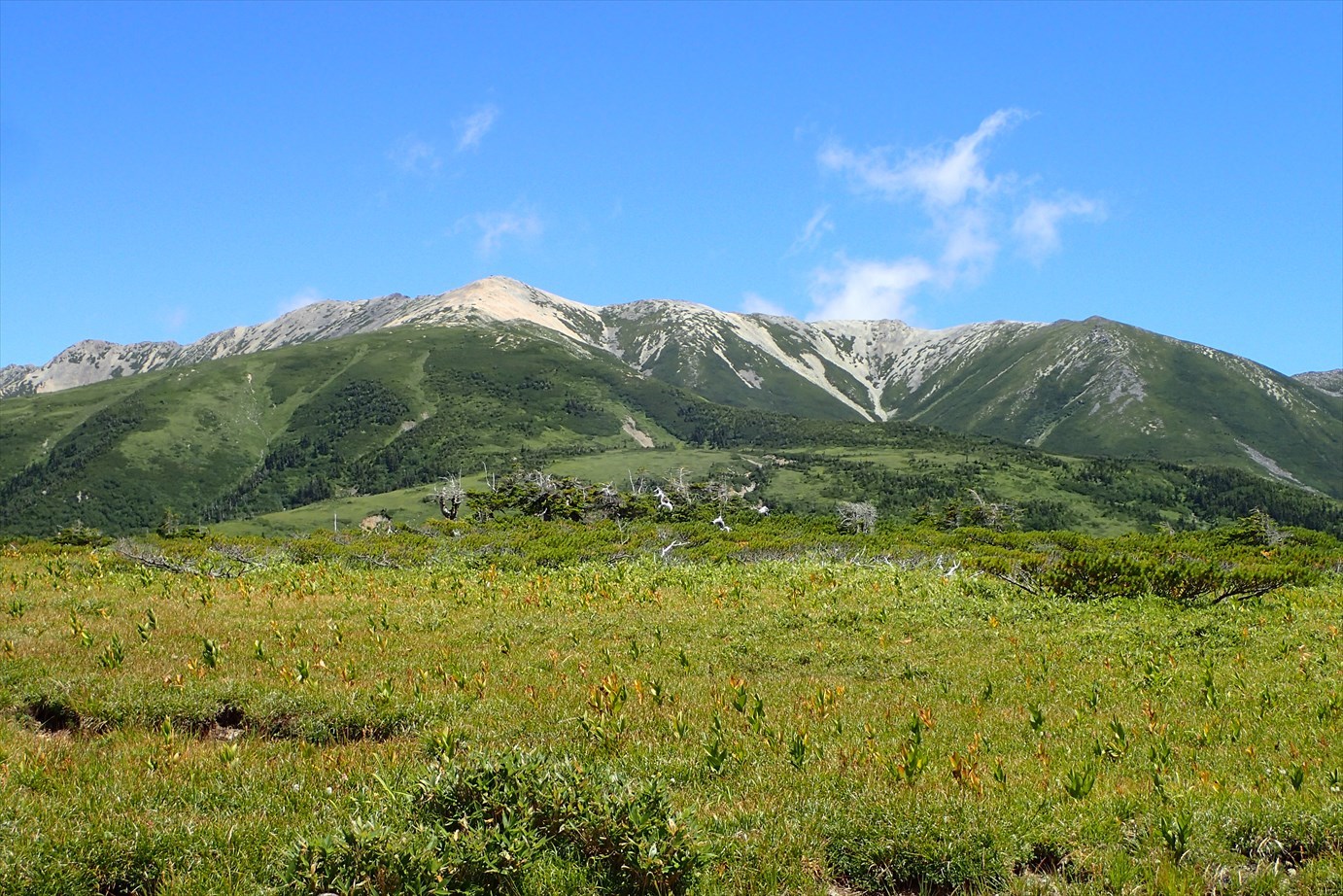 f0348933_22205897.jpg