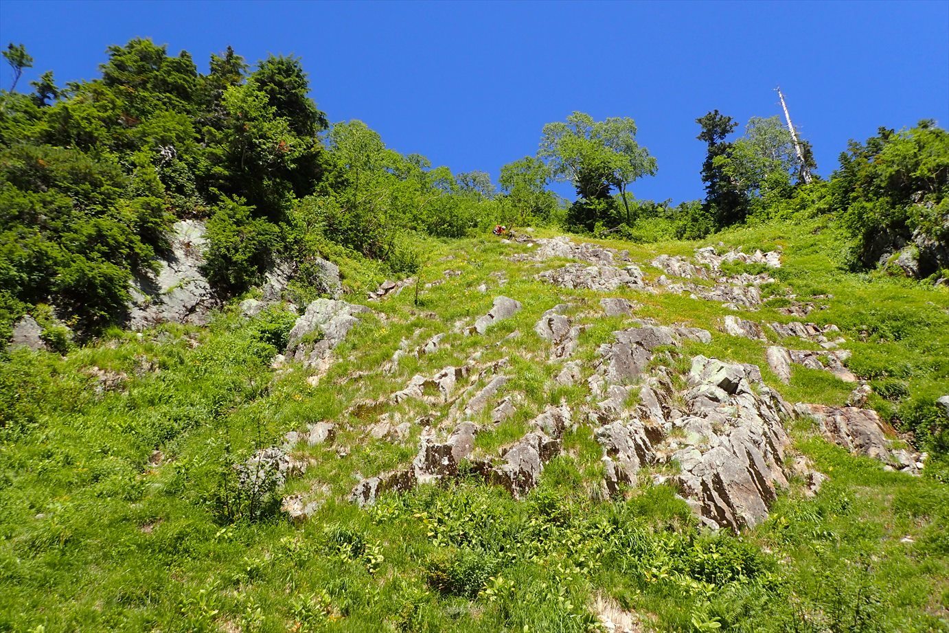 f0348933_23121566.jpg