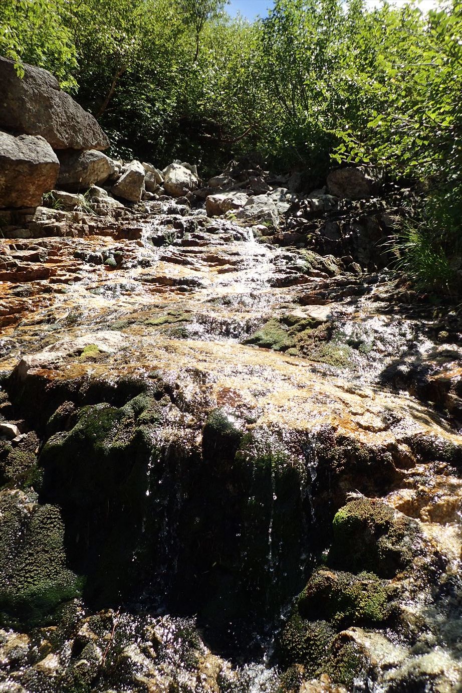 f0348933_23232478.jpg