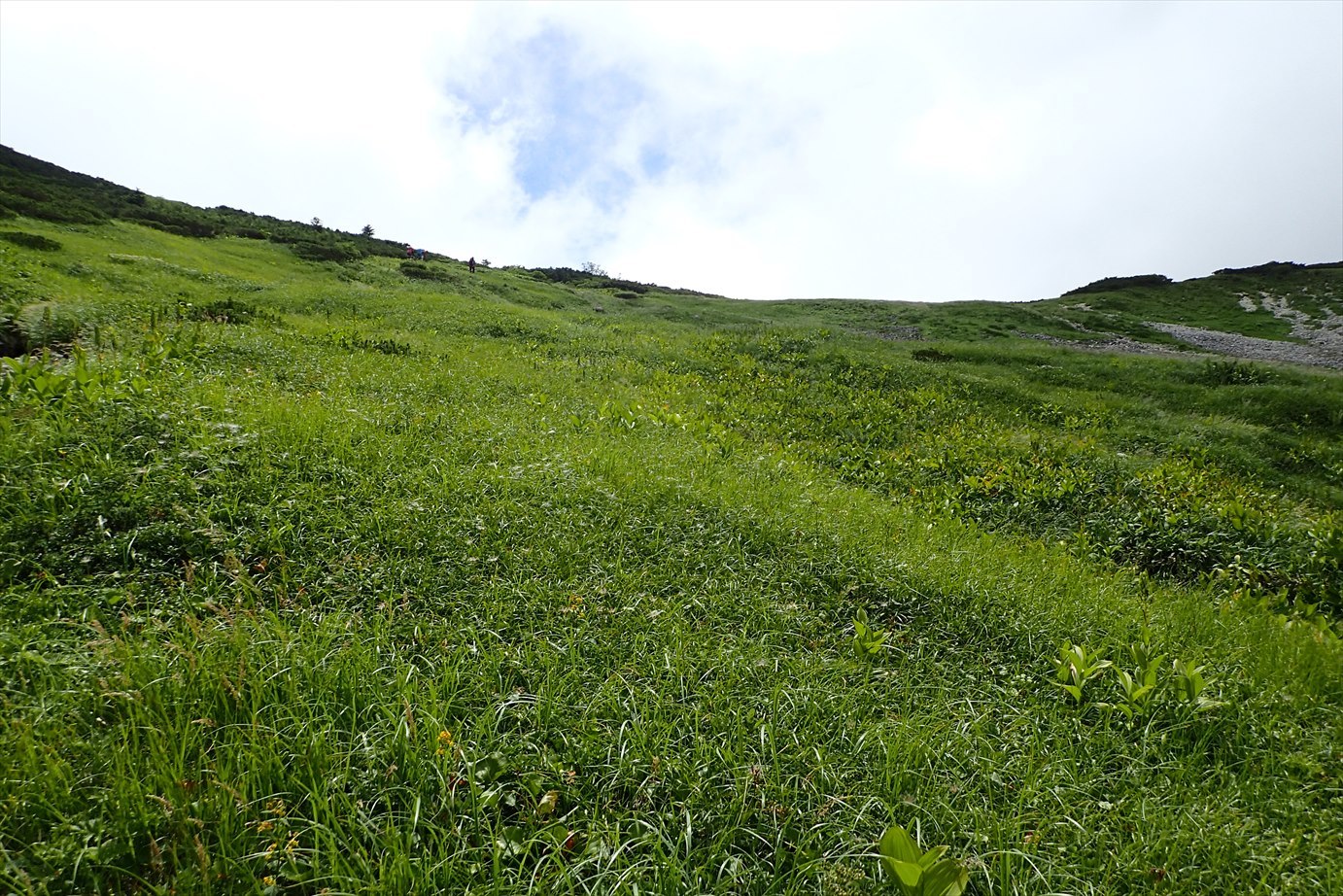 f0348933_23250704.jpg