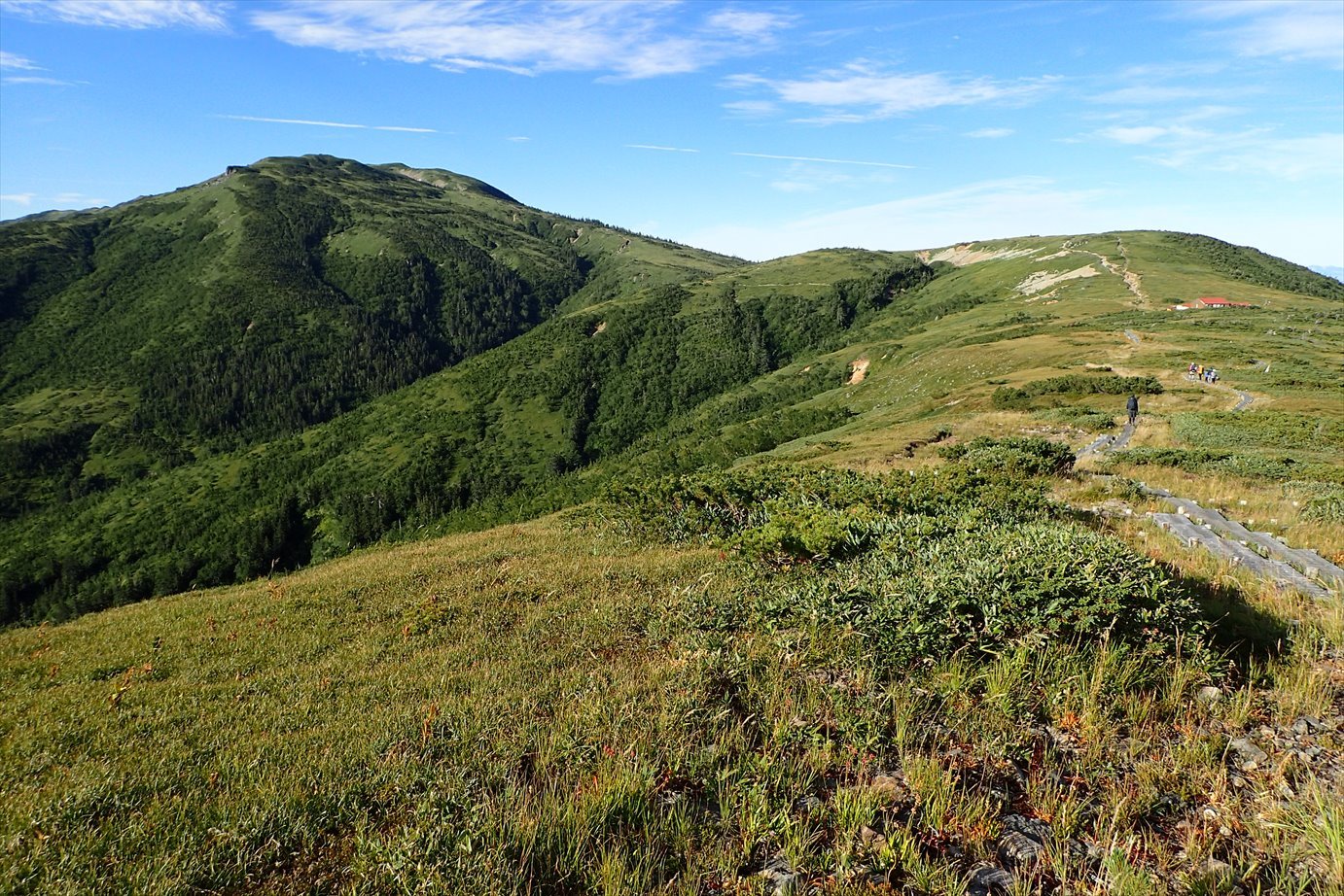 f0348933_23350120.jpg