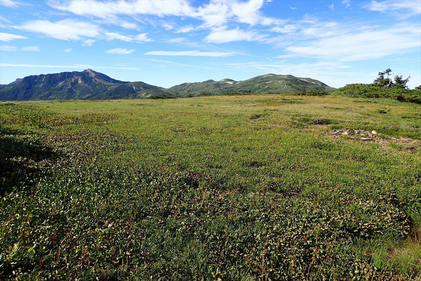 f0348933_23372565.jpg
