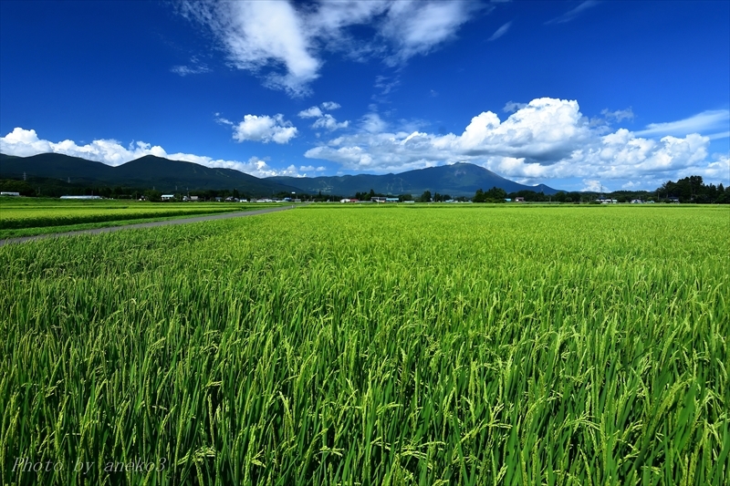 みちのく夏風景２_d0067934_07532621.jpg