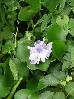 c0147935_21521178.jpg