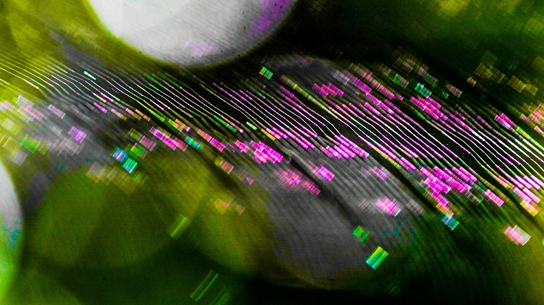 d0060435_15253048.jpg