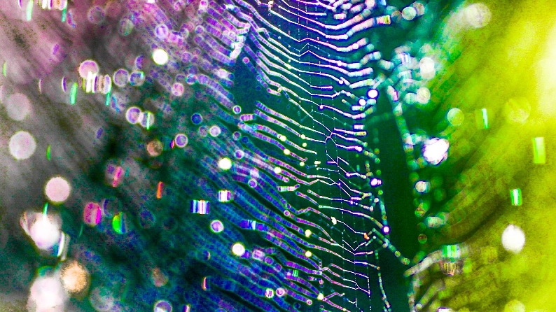d0060435_15292878.jpg