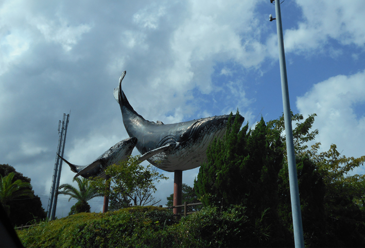 d0351435_22523569.jpg