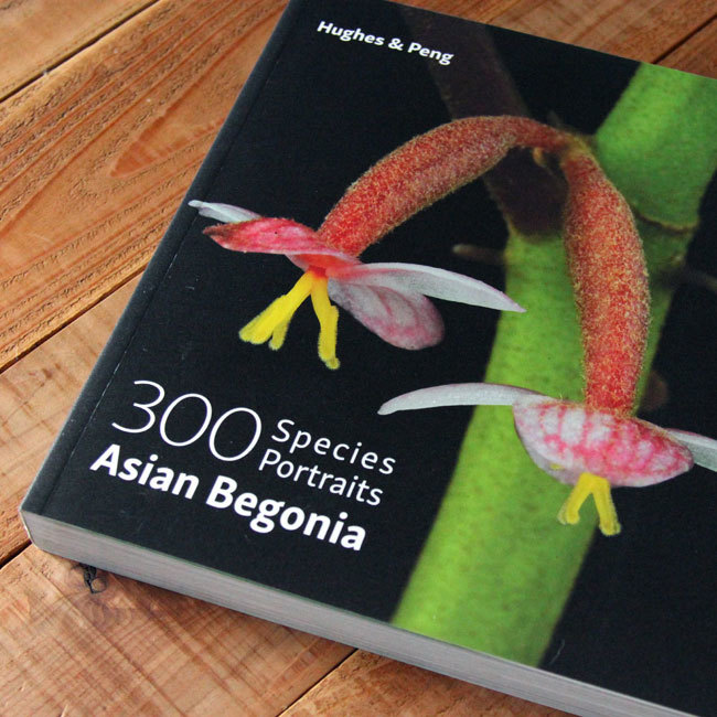 アジアの最新ベゴニア図鑑が新発売!! Asian Begonia 300 species portraits_d0376039_16020581.jpg