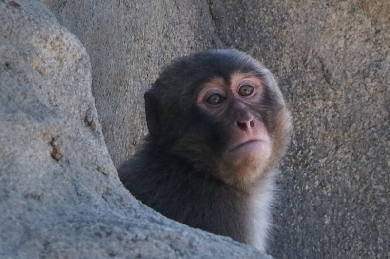 a0112747_14345360.jpg