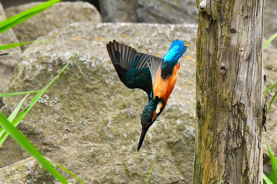 f0185755_16402883.jpg