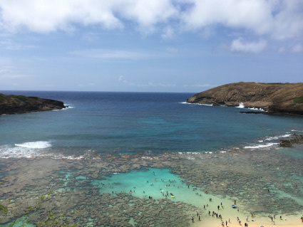 f0082356_22401223.jpg