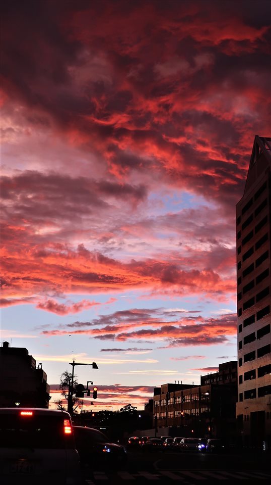 b0191160_16123997.jpg
