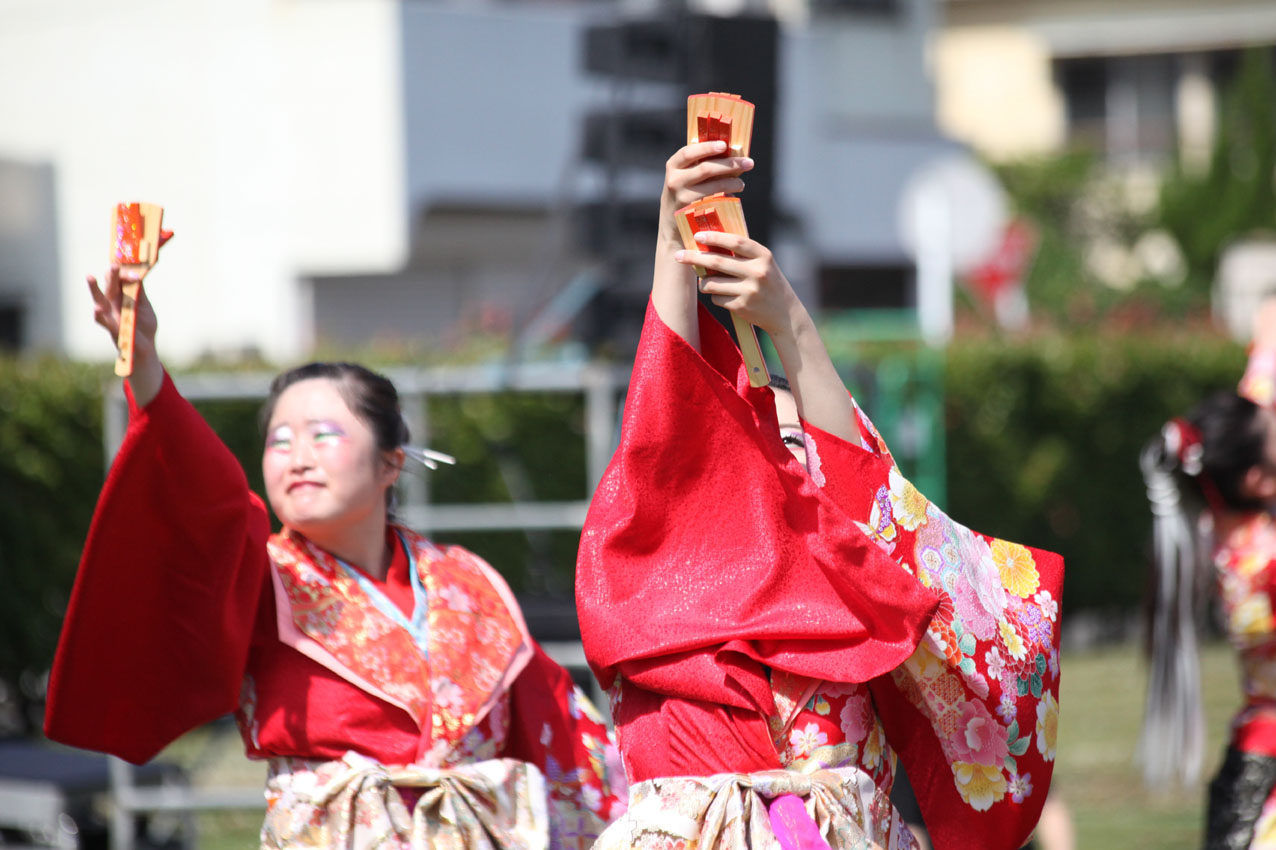 第15回湘南よさこい祭り2018【19】_c0299360_21124752.jpg