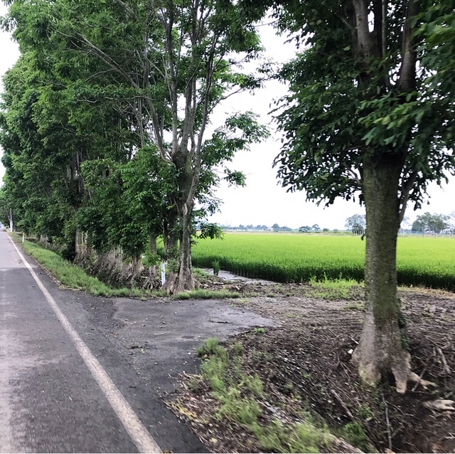 そらちグルメフォンドに参加してきました!_d0197762_13132559.jpeg
