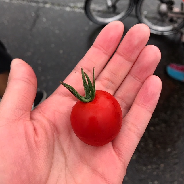 そらちグルメフォンドに参加してきました!_d0197762_14042775.jpeg