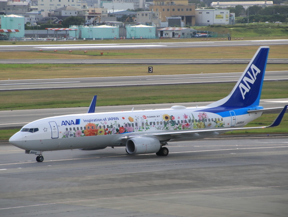 ANAウイングス　B７3７-800型　フラワージェット_d0202264_1314372.jpg