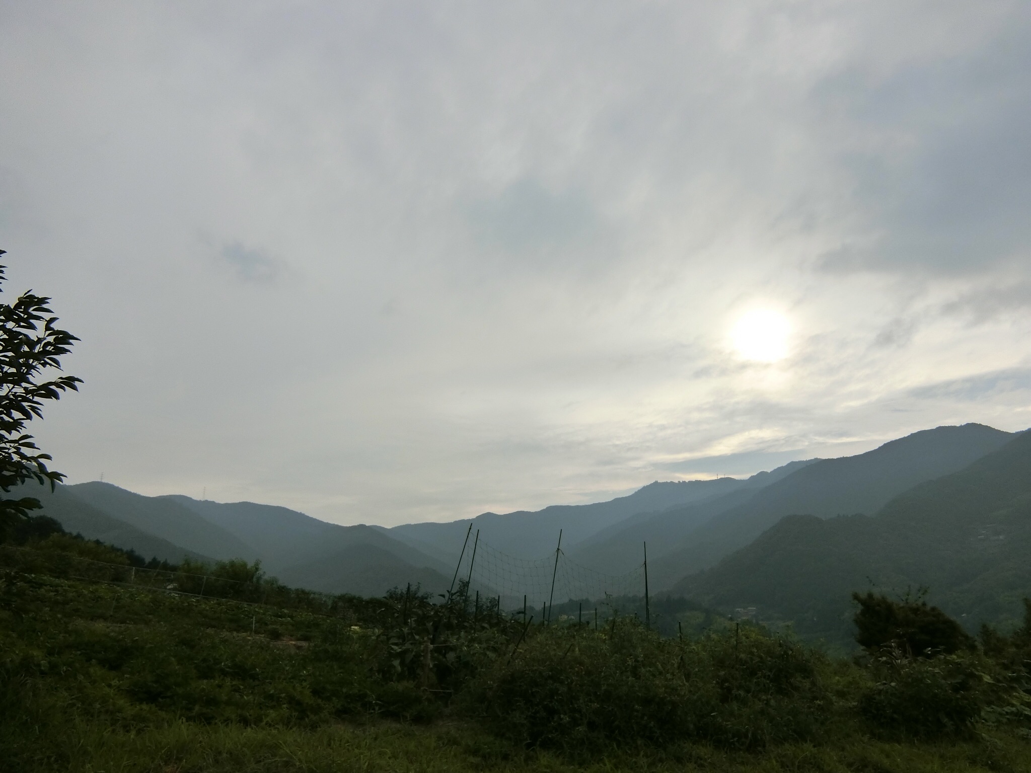 b0166868_22471043.jpg